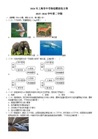 2026年上海市中考模拟物理练习卷含答案