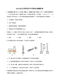 2026年山东省青岛市中考模拟物理练习卷含答案