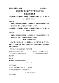2026年山东省泰安市中考模拟物理练习卷含答案