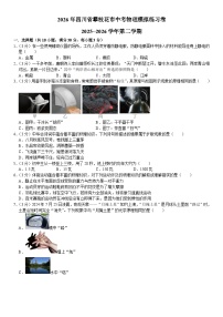 2026年四川省攀枝花市中考模拟物理练习卷含答案