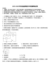 2025-2026学年河南省濮阳市中考物理押题试卷（含答案解析）