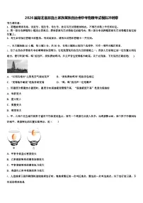 2026届湖北省恩施土家族苗族自治州中考物理考试模拟冲刺卷（含答案解析）