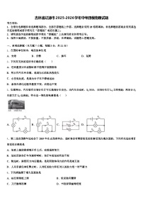 吉林省辽源市2025-2026学年中考四模物理试题（含答案解析）