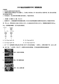 2026届山东省威海市中考二模物理试题（含答案解析）