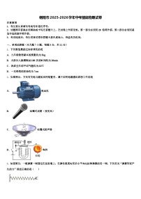 朝阳市2025-2026学年中考猜题物理试卷（含答案解析）