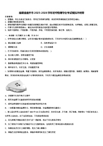 福建省南平市2025-2026学年初中物理毕业考试模拟冲刺卷（含答案解析）