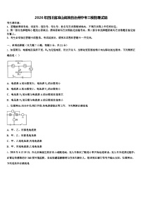 2026年四川省凉山彝族自治州中考三模物理试题（含答案解析）