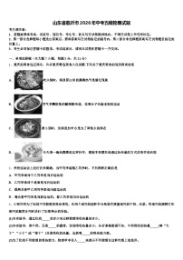山东省临沂市2026年中考五模物理试题（含答案解析）