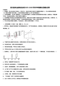 四川省凉山彝族自治州2025-2026学年中考物理全真模拟试卷（含答案解析）