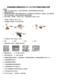 青海省海西蒙古族藏族自治州2025-2026学年中考物理考试模拟冲刺卷（含答案解析）