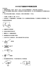 2026年辽宁省盘锦市中考物理仿真试卷（含答案解析）