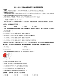 2025-2026学年山东省德州市中考三模物理试题（含答案解析）