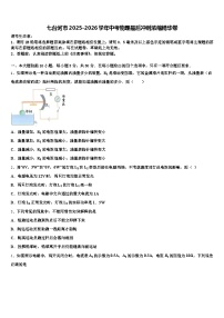 七台河市2025-2026学年中考物理最后冲刺浓缩精华卷（含答案解析）