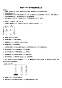 郴州市2026年中考物理押题试卷（含答案解析）