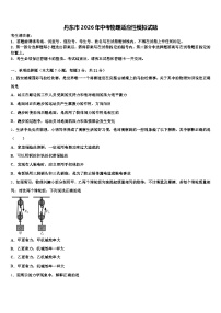 丹东市2026年中考物理适应性模拟试题（含答案解析）