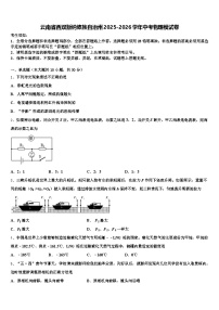 云南省西双版纳傣族自治州2025-2026学年中考物理模试卷（含答案解析）