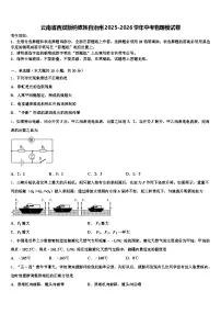 云南省西双版纳傣族自治州2025-2026学年中考物理模试卷（含答案解析）