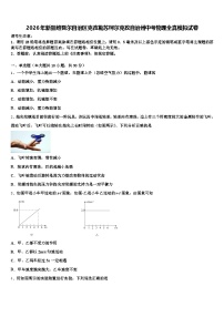 2026年新疆维吾尔自治区克孜勒苏柯尔克孜自治州中考物理全真模拟试卷（含答案解析）