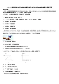 2026年新疆维吾尔自治区克孜勒苏柯尔克孜自治州中考物理全真模拟试卷（含答案解析）