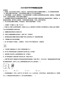 2026年济宁市中考物理仿真试卷（含答案解析）