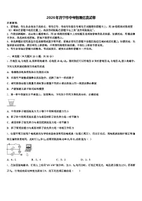 2026年济宁市中考物理仿真试卷（含答案解析）