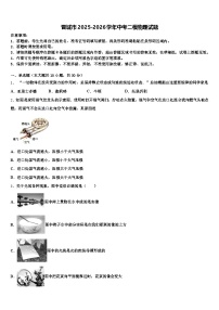 晋城市2025-2026学年中考二模物理试题（含答案解析）