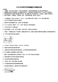2026年菏泽市中考物理最后冲刺模拟试卷（含答案解析）