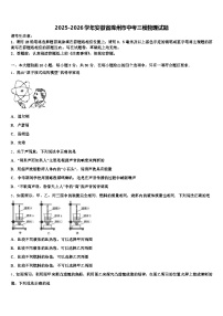 2025-2026学年安徽省滁州市中考三模物理试题（含答案解析）