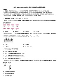 四川省2025-2026学年中考物理最后冲刺模拟试卷（含答案解析）