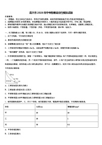 嘉兴市2026年中考物理适应性模拟试题（含答案解析）