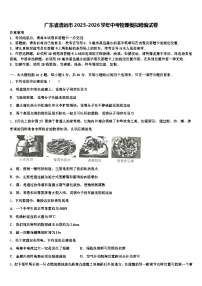 广东省清远市2025-2026学年中考物理模拟精编试卷（含答案解析）