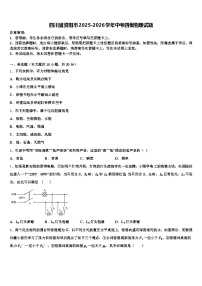 四川省资阳市2025-2026学年中考四模物理试题（含答案解析）
