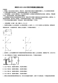 潍坊市2025-2026学年中考物理全真模拟试题（含答案解析）