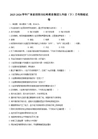 2025-2026学年广东省深圳市红岭教育集团九年级（下）月考物理试卷-自定义类型