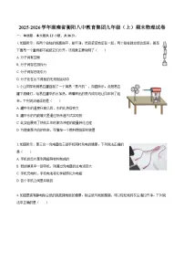 2025-2026学年湖南省衡阳八中教育集团九年级（上）期末物理试卷-自定义类型
