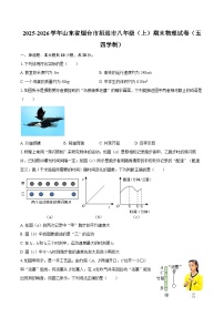 2025-2026学年山东省烟台市招远市八年级（上）期末物理试卷（五四学制）-自定义类型