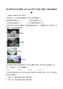 四川省泸州市龙马潭区2025-2026学年八年级上学期1月期末物理试题-自定义类型