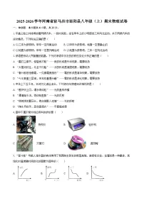 2025-2026学年河南省驻马店市泌阳县八年级（上）期末物理试卷-自定义类型