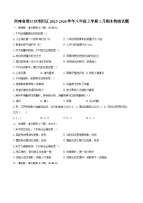河南省周口市淮阳区2025-2026学年八年级上学期1月期末物理试题-自定义类型