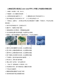 云南省昆明市盘龙区2025-2026学年上学期九年级期末物理试卷-自定义类型