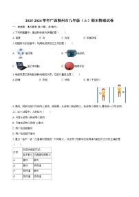 2025-2026学年广西柳州市九年级（上）期末物理试卷-自定义类型