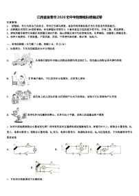 江西省宜春市2026年中考物理模拟精编试卷（含答案解析）