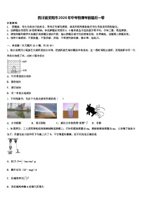四川省资阳市2026年中考物理考前最后一卷（含答案解析）