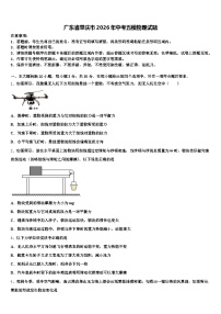 广东省肇庆市2026年中考五模物理试题（含答案解析）