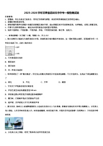 2025-2026学年甘肃省嘉峪关市中考一模物理试题（含答案解析）