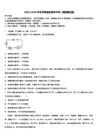 2025-2026学年甘肃省张掖市中考二模物理试题（含答案解析）