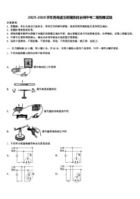 2025-2026学年青海省玉树藏族自治州中考二模物理试题（含答案解析）