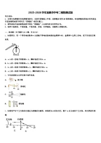 2025-2026学年宜昌市中考二模物理试题（含答案解析）
