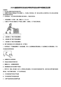 2026届新疆维吾尔自治区伊犁哈萨克自治州中考物理仿真试卷（含答案解析）
