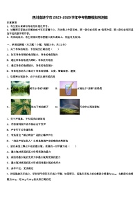 四川省遂宁市2025-2026学年中考物理模拟预测题（含答案解析）